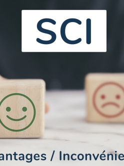 Les limites de la SCI.