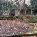 BOIS SUR LES HAUTS DE ROUEN