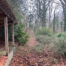 BOIS SUR LES HAUTS DE ROUEN