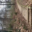 BOIS SUR LES HAUTS DE ROUEN