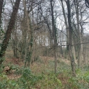 BOIS SUR LES HAUTS DE ROUEN