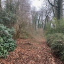 BOIS SUR LES HAUTS DE ROUEN