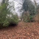 BOIS SUR LES HAUTS DE ROUEN