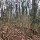 BOIS SUR LES HAUTS DE ROUEN