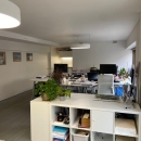 local professionnel A LOUER