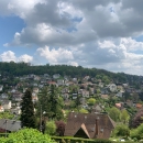 MONT ST AIGNAN MAISON AUX BULINS