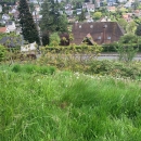 MONT ST AIGNAN MAISON AUX BULINS