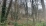 BOIS SUR LES HAUTS DE ROUEN