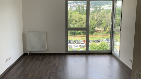 A louer 2 pièces à ROUEN, Les Jardins d'Emma, Pôle Santé Rouen, CHU