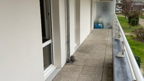 A LOUER 4 pièces ROUEN RG