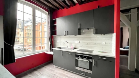 APPARTEMENT PROCHE CHU