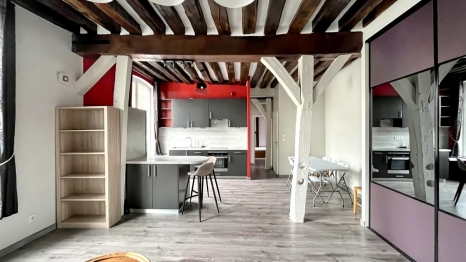 APPARTEMENT PROCHE CHU