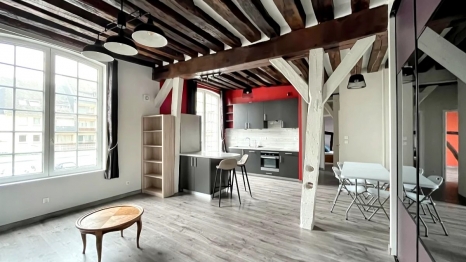 APPARTEMENT PROCHE CHU